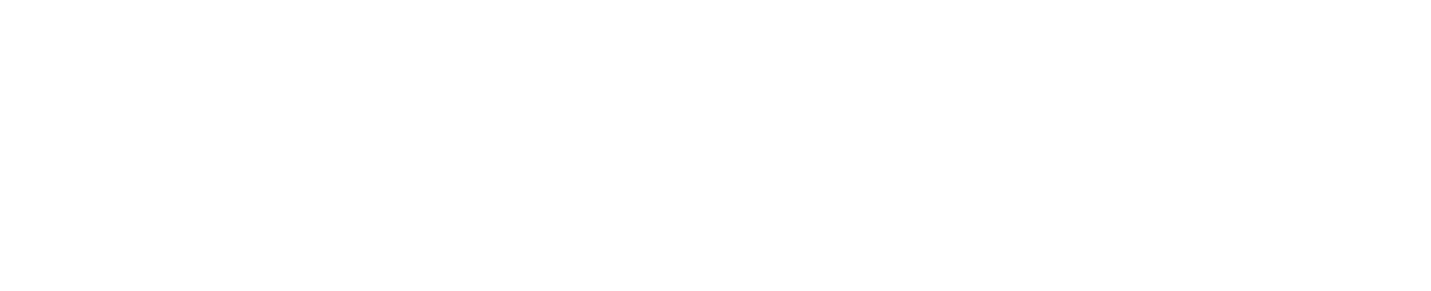 videoai logo