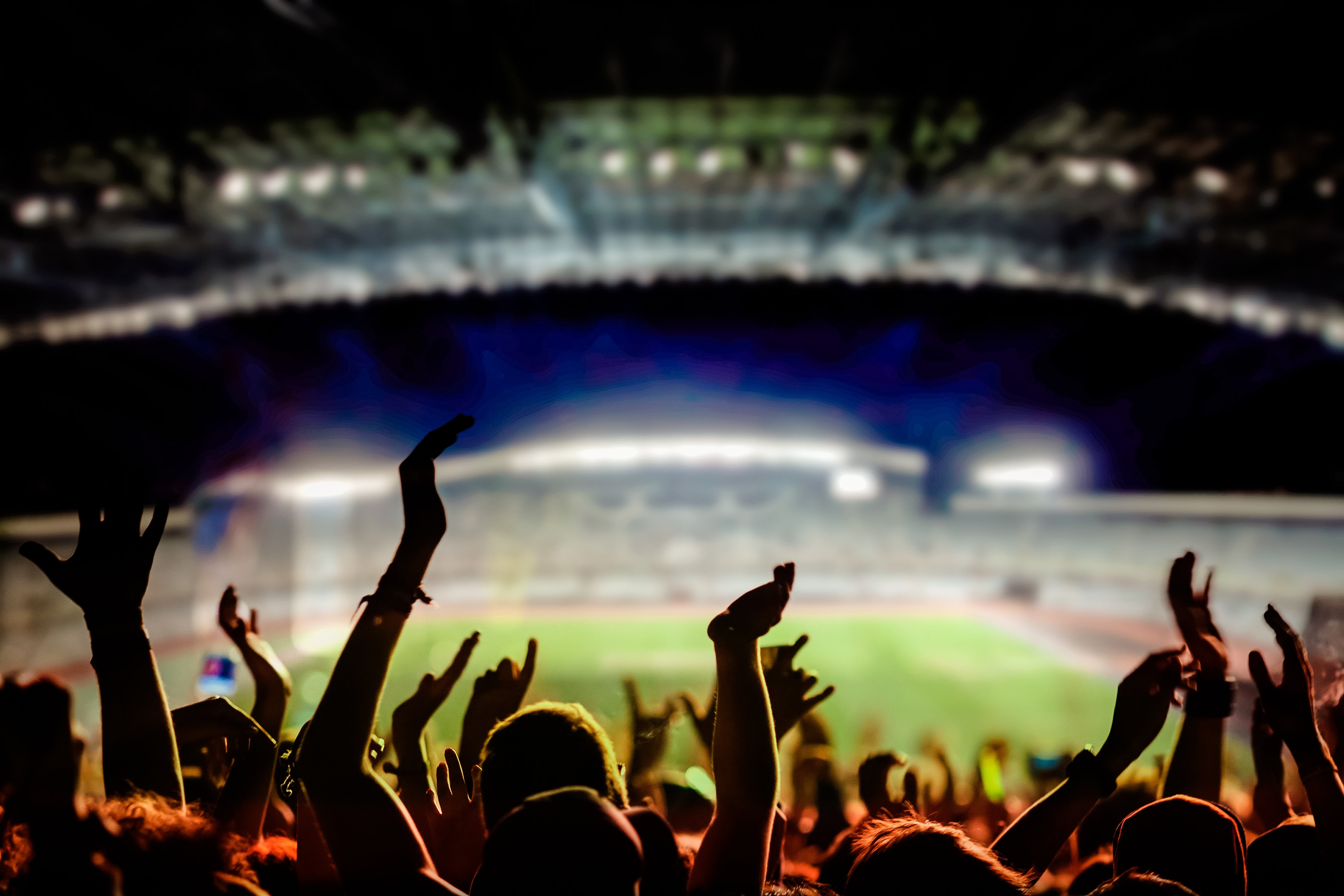 fans cheering in a sports stadium
