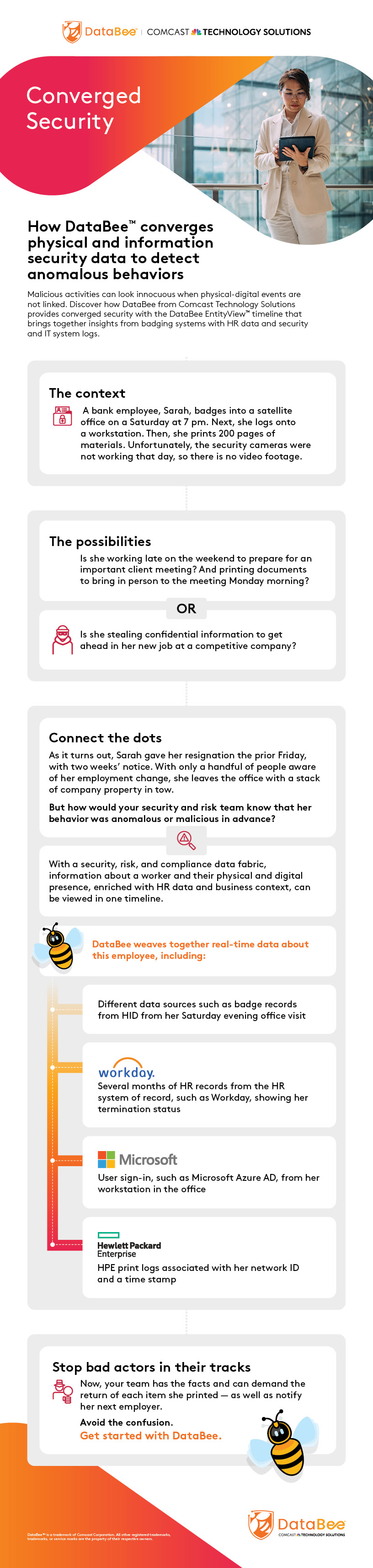 DataBee Converged Security Infographic