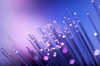 Abstract Purple Fiberoptics