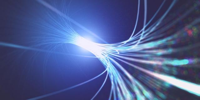 Linear jellyfish Thumbnail
