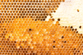 decorative image of honeycomb