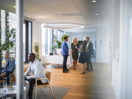 business people meeting in an office